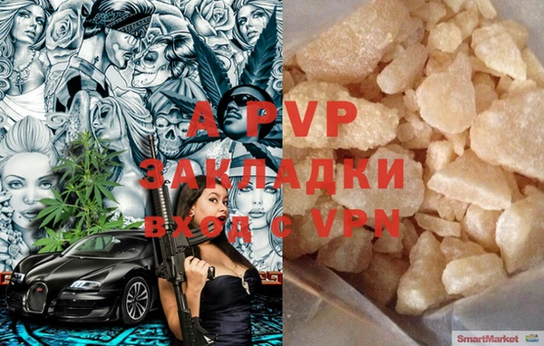 ECSTASY Алзамай