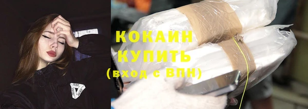 стафф Пересвет