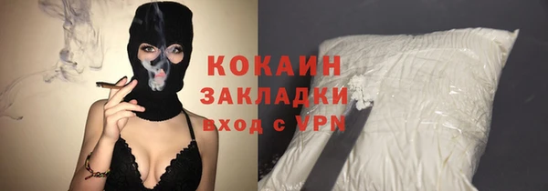 ECSTASY Алзамай