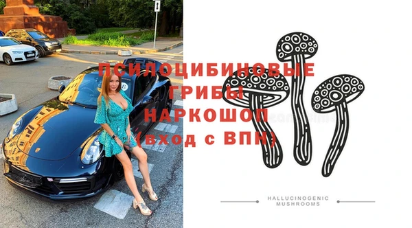 шишки Алексеевка
