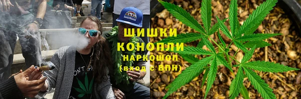 ECSTASY Алзамай