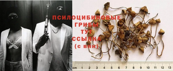 твердый Пестово