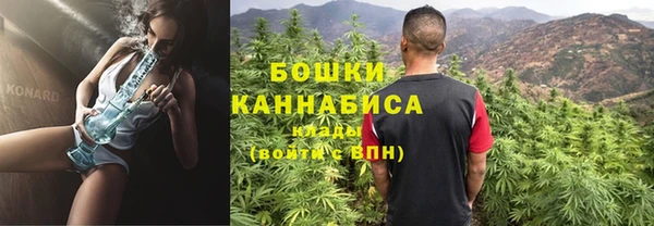 шишки Алексеевка